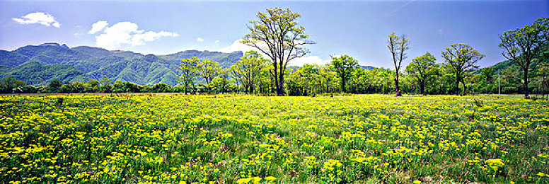 国产挺入：中国首款3A级赛车巨制今日上线，亲历汽车工业崛起之路