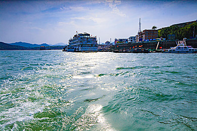 丁香婷婷五月婷婷：疾驰于春野，墨西哥的虚拟花季竞速诗篇-3