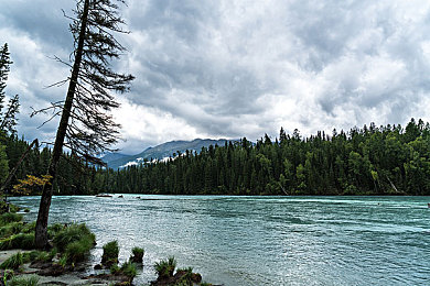 十大黄色饮件：竞速游戏热门改装车盘点，亮眼涂装与性能调校全解析