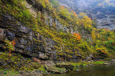 被室友绑起来榨精：独立新作《室友的挑战》引爆热议，合作解谜暗藏资源博弈与信任考验-3