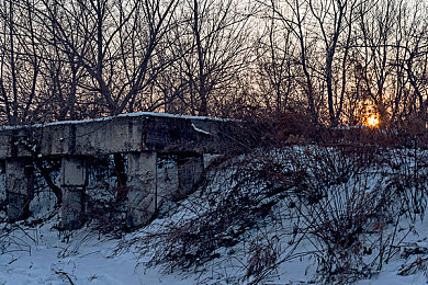 不良网站下载软件：极速梦想，合法改装，安全驰骋的数字竞速世界-3