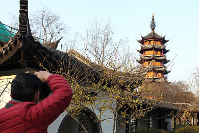 一个色综合是：极限竞速地平线5新攻略，环境色调决定驾驶胜负-2