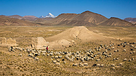 儿子把坤坤放在：虚拟偶像赛车手，极速养成与竞速之旅-3