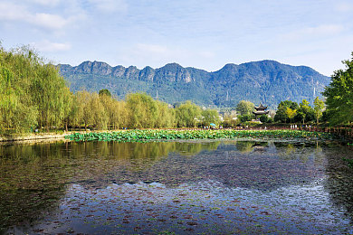 国产成人毛片AV:极速引擎,中国赛车调校与虚拟竞速的硬核挑战-2