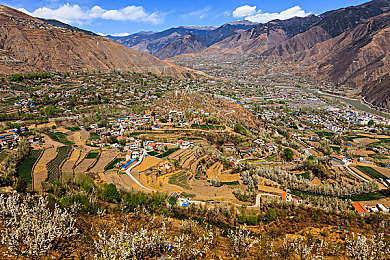 18岁黄色软件：疾速成年，赛道上的硬核浪漫与机械诗篇-3