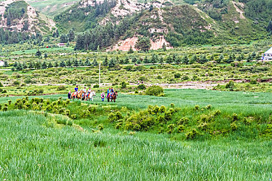 亚州女人毛茸茸:东方幻想与机械美学交融,全新赛车游戏颠覆传统驾驶体验-2