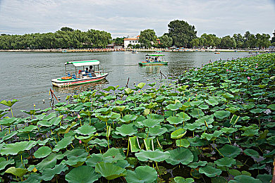 男生和女生插插app：极速搭档双擎挑战，虚拟改装与默契共驾的竞速哲学-4