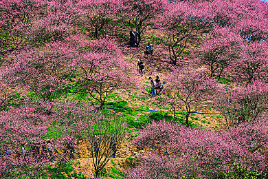 男生把困困放到老师的困困里视频：沉睡精灵的抛物线，清醒世界的伦理诗篇