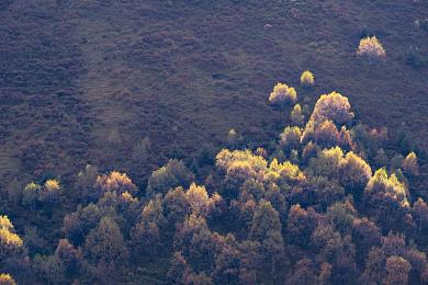下载黄色软件：极限竞速地平线，经典黄色跑车收集与驾驭全攻略-4