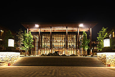 日本真人床上拔萝卜：寝台特急竞速，田园都市间的资源疾驰幻想曲-3