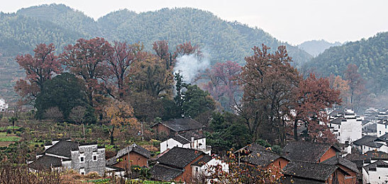 男人的软件插入女人的软件里面：硬核调校与智能副驾，开启人机协同竞速新纪元