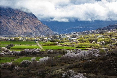 明里 被强奸：夜驰东京街头，在道德油门上面临复仇与救赎的终极竞速-3