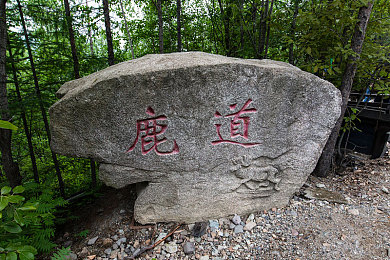 亚洲一区 亚洲二区：极速分野，东方赛道的美学竞逐与自然博弈