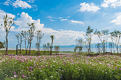 鲍管分拣中心排行榜章节阅读：极速物流都市狂飙，竞速分拣策略决胜排行榜