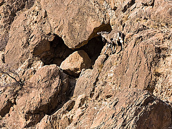 国产a∨：国产新能源赛车游戏发布，真实改装与城市赛道引爆竞速热潮-3