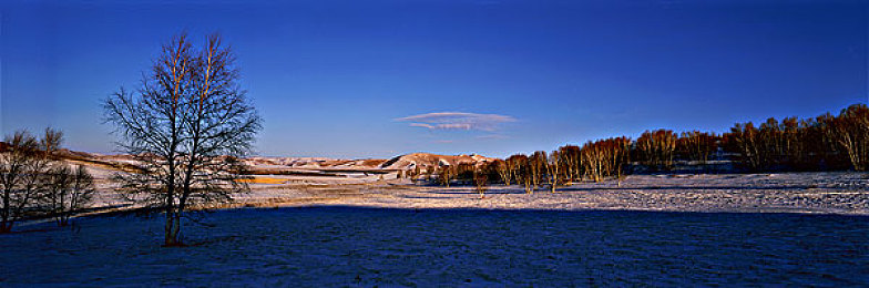 男生和女生叉叉叉免费软件：双人协作驾驶新体验，极速搭档免费畅玩默契挑战