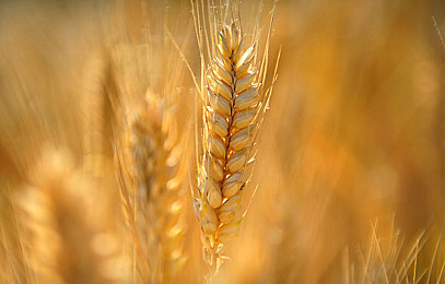 浪小辉:地平线5全新赛季开启,探索隐藏雪山赛道与经典车辆复刻-4