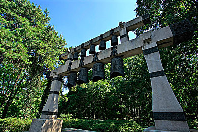 罗宾给乔巴做青春期治疗排毒：当赛车需要治愈，海贼竞速上演机械与情感共舞