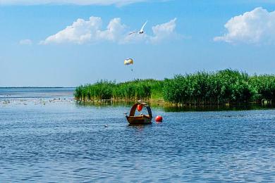 一区二区亚洲:竞速美学的双生灵魂,东方赛道上的秩序与狂野-2