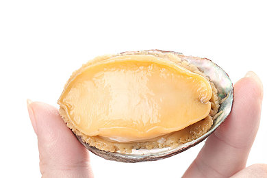 成人aa片 软件：街头极速，硬核改装与真实驾驶的终极挑战-3