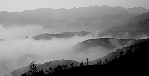 欧美成人精品无码 网站：硬核赛车新作深度评测，极致拟真体验如何征服挑剔玩家