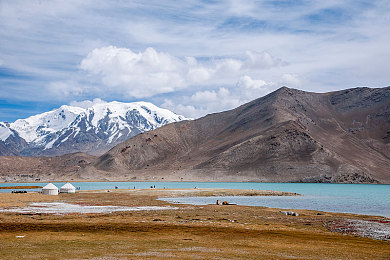 黄色软oppo免费：香蕉皮逆袭，休闲竞速的战术狂欢派对