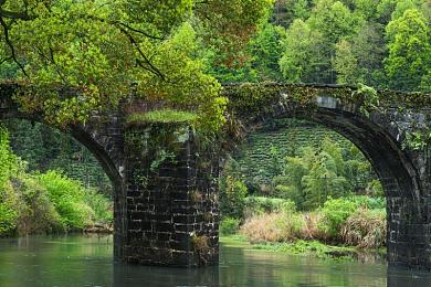 香蕉操桃子：果核狂飙，极速对决的甜蜜竞速盛宴-2
