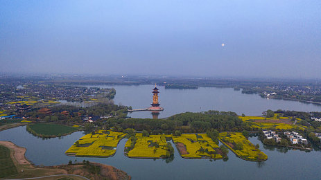 91麻豆精东蜜桃星空传媒：霓虹都市竞速新作发布，深度体验未来赛车与媒体帝国交锋-2