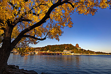 女生坤坤：虚拟偶像车手携专属剧情与座驾，革新竞速游戏联动体验-3