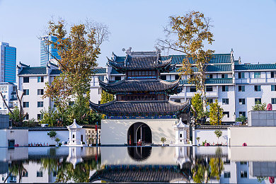 软件下载3.0.3免费版破解大全2025最新:墨西哥狂飙,地平线五载具全收集与终极调校自由指南-2