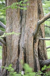 男生的坤坤：虚拟座驾养成热潮席卷赛车游戏圈，专业改装指南助你打造赛道王者