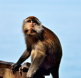 男人桶女人的机机：刚柔并济，双车共舞的赛道协奏曲-3