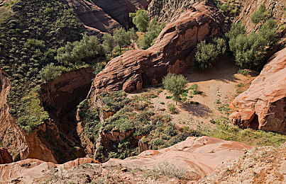 AV体育生同性：极速轰鸣，青春共轨，赛车与羁绊的协奏曲-2