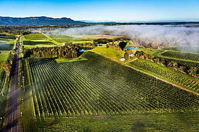 天堂a√：云端竞速新作动态赛道颠覆传统，人工智能实时生成无限挑战