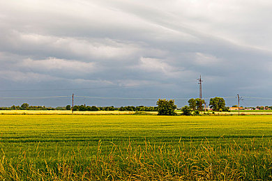 男生和女生羞羞软件：心跳频率与虚拟校园的隐秘对话-2