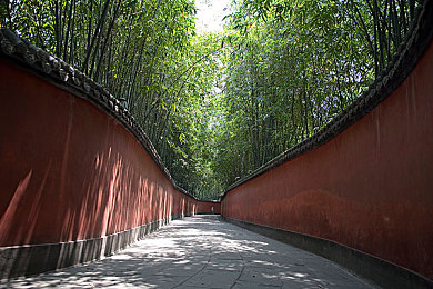 男生女生拨萝卜：田园竞速派对今日上线，双目标积分制开启团队竞技新玩法-2