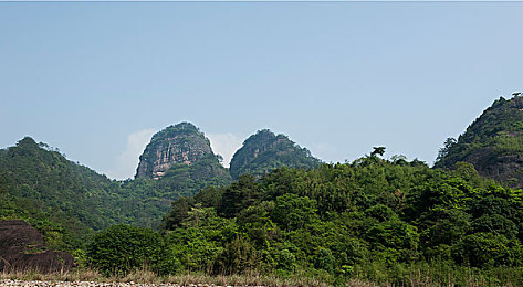 暴躁大妈2农场女儿角色剧情介绍森林：探索自然谜题，体验温馨农场新篇章