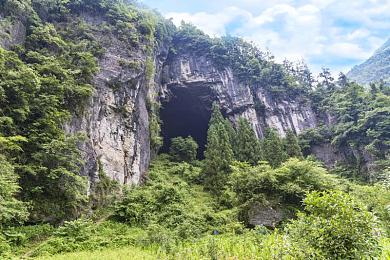 GOGOGO高清免费完整版游戏：次世代竞速新作今日上线，免费完整版带来极致真实驾驶体验-2