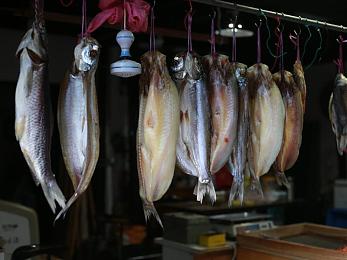 天天射天天甜：极速狂飙，火力全开，改装战车引爆废土射击盛宴