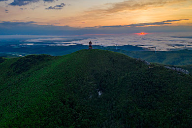 世界最不得安人三部曲：绝望驾驶新浪潮，揭秘高拟真生存游戏如何重塑驾驶恐惧-3