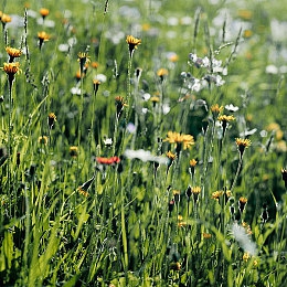 看着娇妻被别人玩3p：心理博弈新作暗影交织上线，多重结局挑战情感策略极限