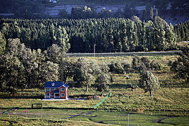 黄色软件下载3.0.3免费安装VIVO：疾驰幻境，掌上竞速新纪元的深度驾驭指南-3