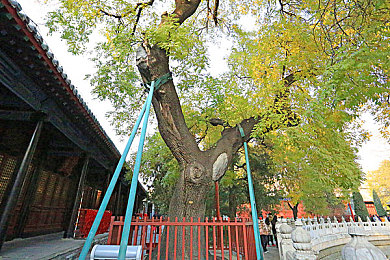 我色综合：极限竞速地平线五，打造你的专属视觉艺术座驾