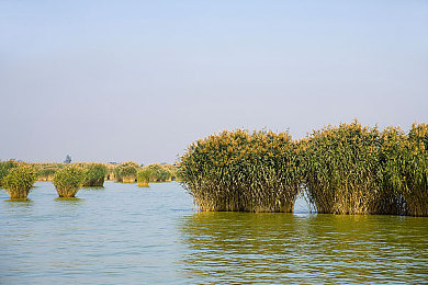 69乐园相册:复古赛车收藏游戏今日上线,打造属于你的像素车库与竞速回忆-3