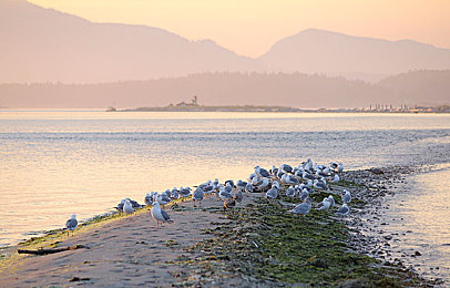 明星换脸淫梦赵丽颖在线：虚拟偶像赛车新作登场，自定义形象驰骋星际赛道-2