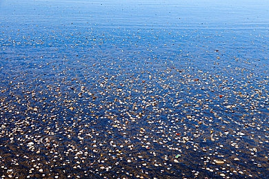 日欧一区二区:虚拟赛道上的文化对决,细腻操控与狂野性能的终极竞速-1