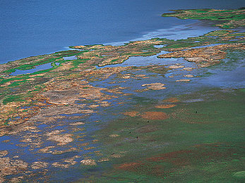 娇妻接受了3p全文：竞速新纪元，三重协同驾驶系统颠覆传统赛车游戏-4