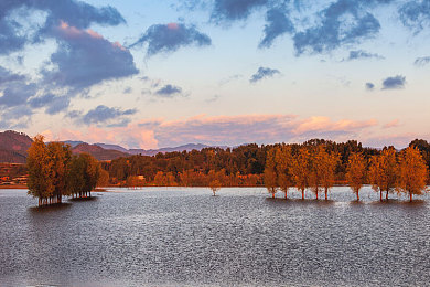 胡桃用手抠出许多白色黏粘液咋办:揭秘火元素爆发核心,蝶舞状态实战技巧全解析-3