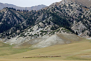 草壁软件：当编程遇见竞速，在开放世界驶向游戏开发传奇