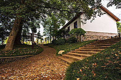 极度另类:废土求生新法则,驾驶你的战车在辐射荒漠中突围-4